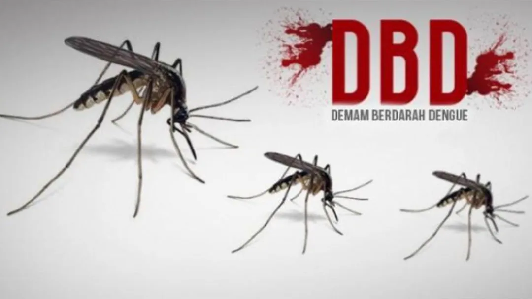 Rekomendasi Untuk Memperkuat Kebijakan Pengendalian Penyakit Demam Berdarah Dengue (DBD) di Kota Tasikmalaya