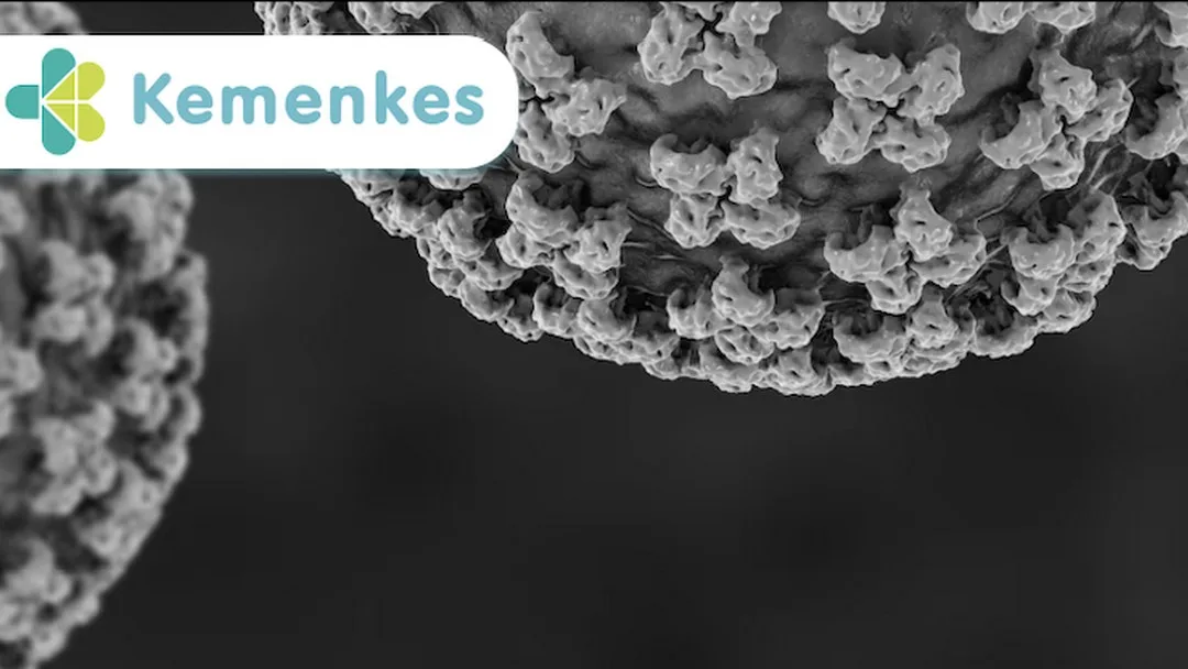 Menkes: Kasus Hantavirus di DKI Jakarta Terkendali, Kontak Erat Dipantau 14 Hari