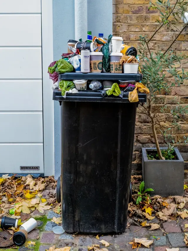 Elemen Fungsional Sistem Pengelolaan Sampah
