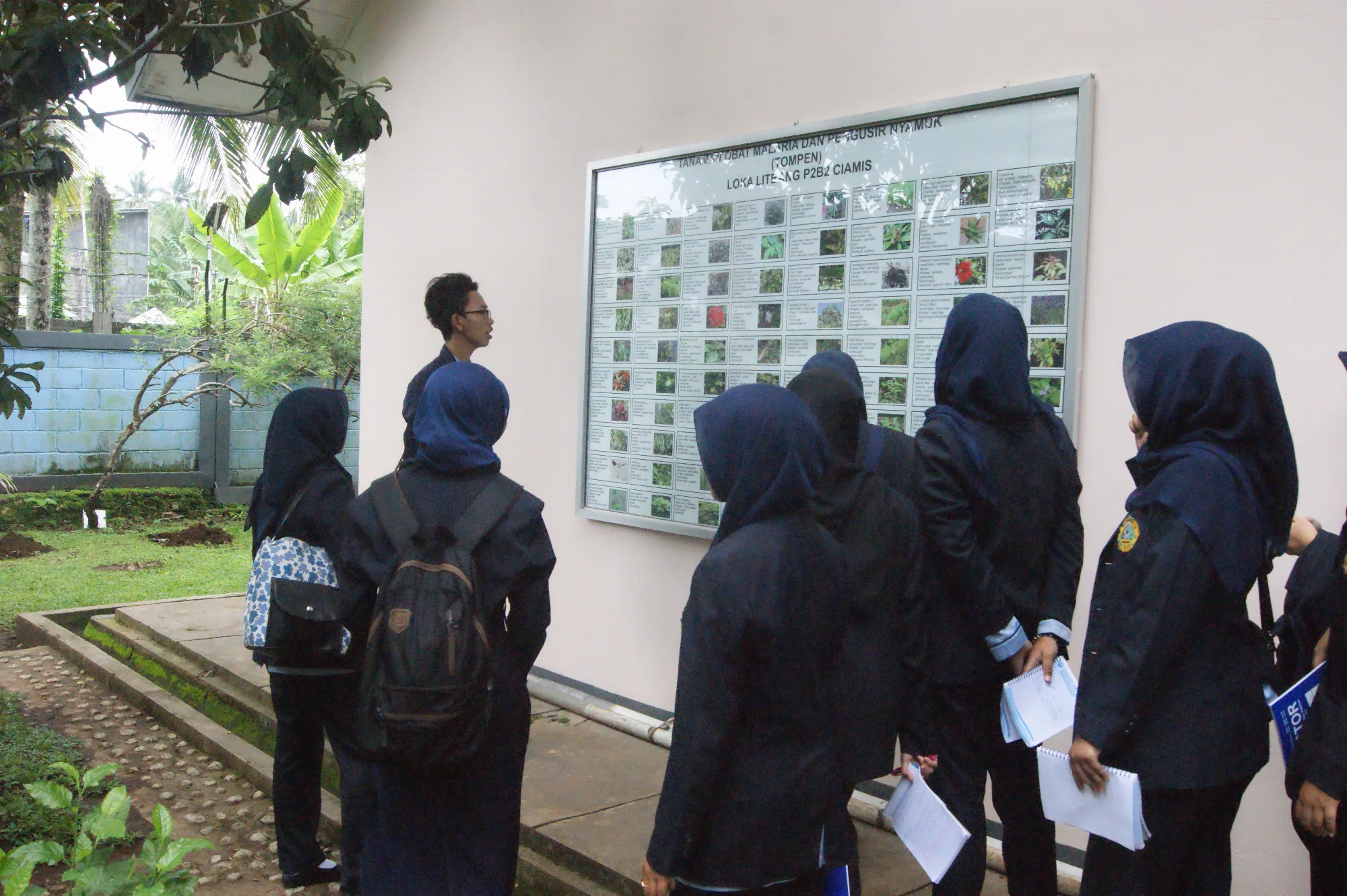 TOMPEN (Taman Obat Pengusir Nyamuk)